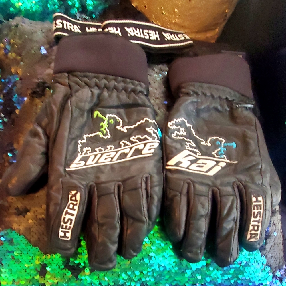 Hestra Ski Gloves